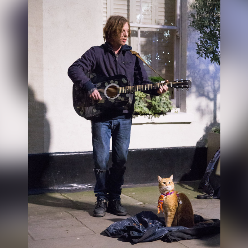 James (Luke Treadaway) and Bob in A Street Cat Named Bob.