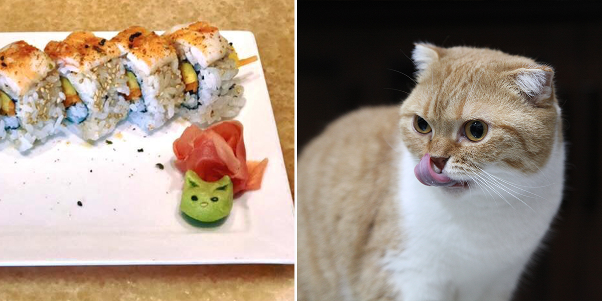 Cats and sushi, Meowsabi