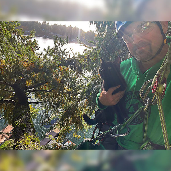 Canopy Cat Rescue Saves Cats from Incredible Heights in the Treetops