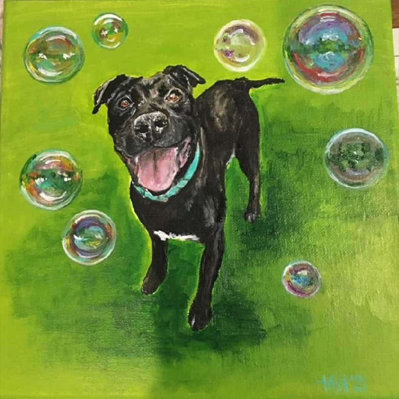 Dog art, dog named Bubble Gums is surrounded by bubbles in a whimsical portrait for the Humane Society of Lebanon County.