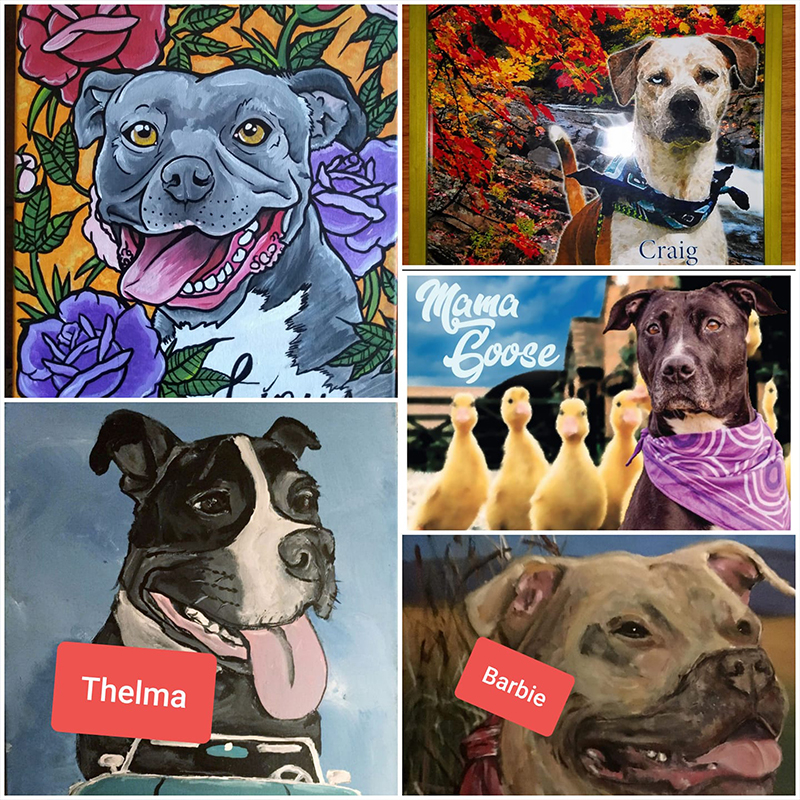 Cheddar Paws Collage, dog art