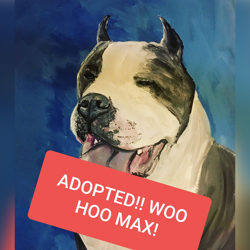 Max portrait, dog art