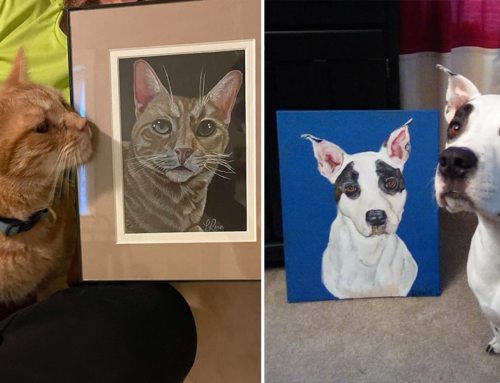 Artists Paint Pet Portraits and See Big Boost in Shelter Adoptions
