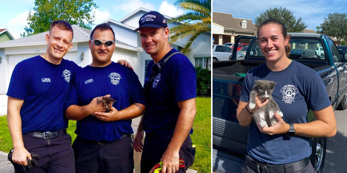 Firefighters save kitten, Hillsborough County Fire Rescue