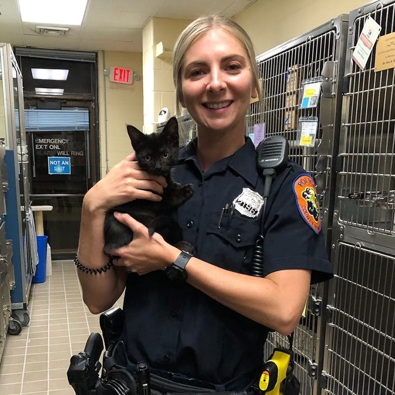 Henrietta the kitten with Officer Christen