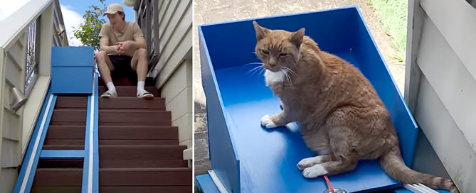 Liam Thompson with Frodo the cat and elevator