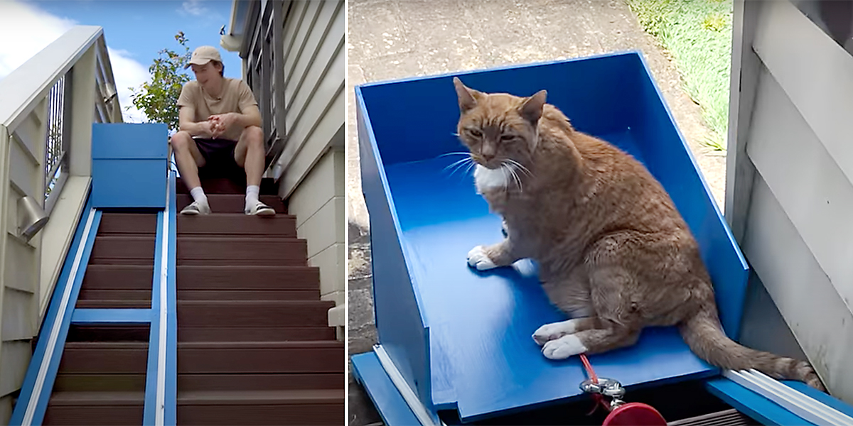 Liam Thompson with Frodo the cat and elevator