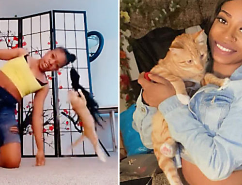 Licia and Mega: Woman Posts Hysterical Play Fights with Her Cat