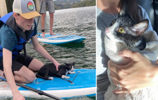 Mermaid Kitty, Austin, Texas, Mopac Bridge