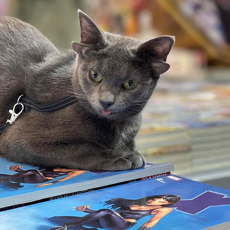 Midas with the X-23 comic book she's named after