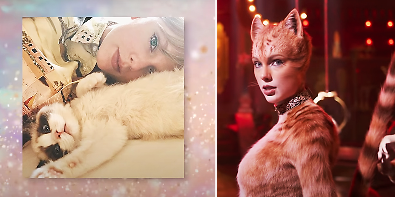 Taylor Swift Proudly Comes Out As An Official ‘cat Lady