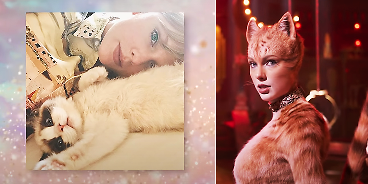 Taylor Swift, Cat lady, Benjamin Button, Cats