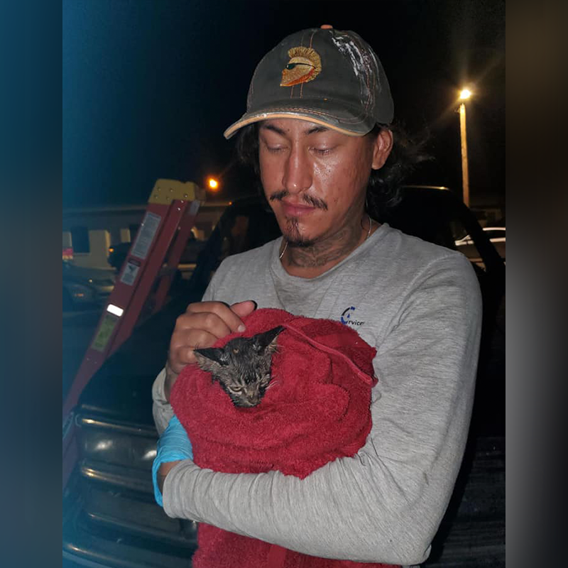 Christopher Archuleta with 3G Plumbing holds a kitten he helped rescue out of a residential sewer pipe. Archuleta adopted the kitten and took him home.