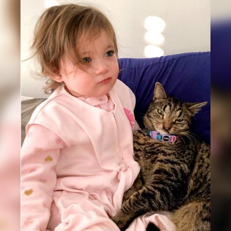 Toddler with rescued cat with cleft palate