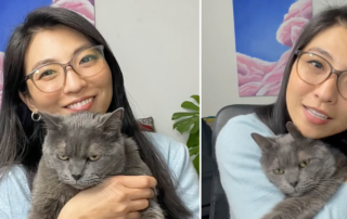 Jun, Mandarin nicknames for Cat Owner
