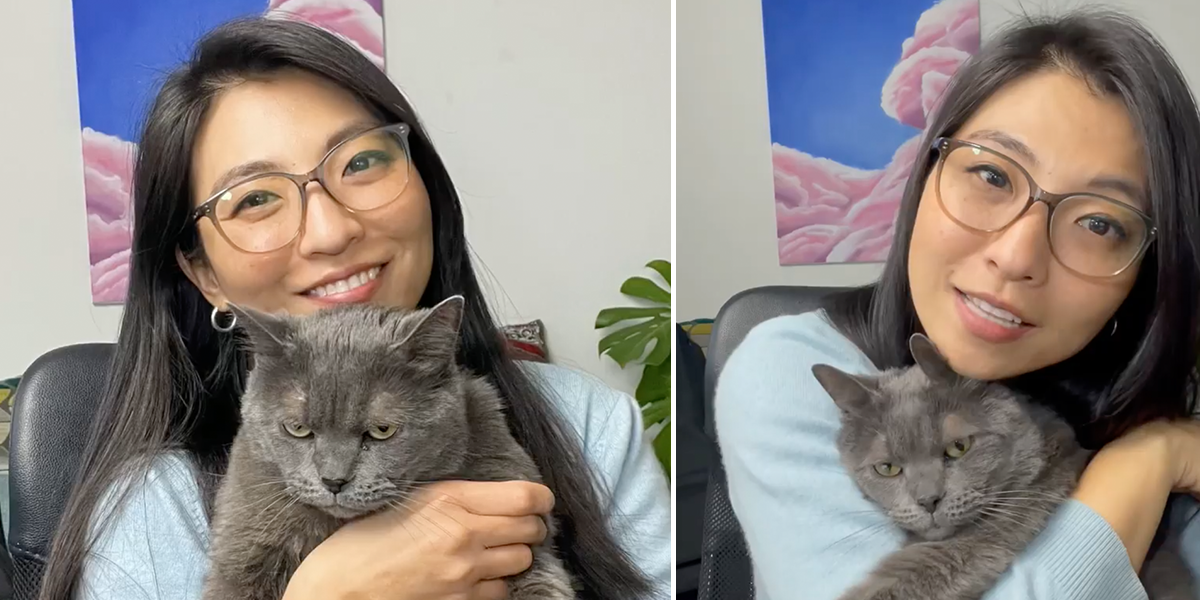 Jun, Mandarin nicknames for Cat Owner