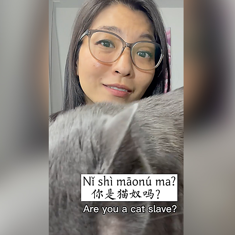 Jun, Mandarin for "Are you a cat slave?"