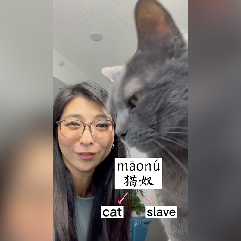 Jun, Mandarin for "cat slave"
