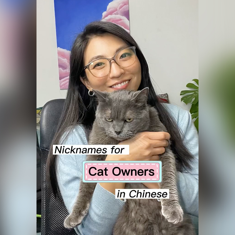 Jun, Mandarin nicknames for Cat Owners