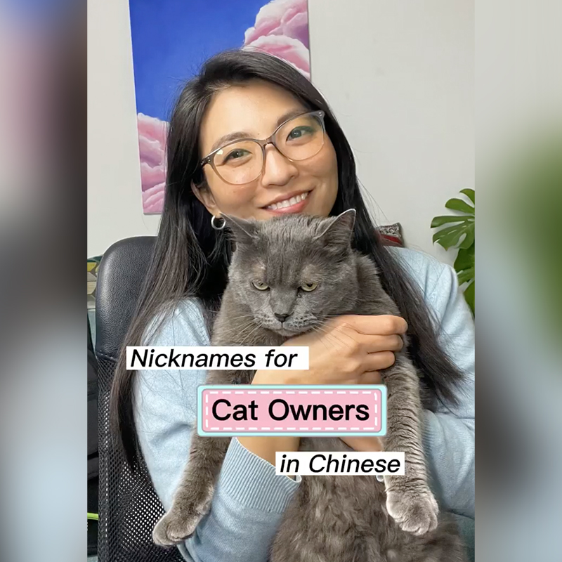 Educator Jun Shares Funny Mandarin Nicknames For Cat Owners