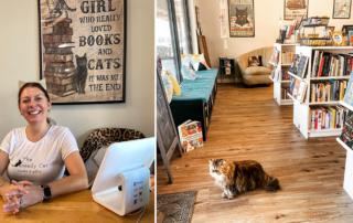 Kneady Cat Books & Gifts in Bluffton, Carla Onofrio, Palmetto Animal League
