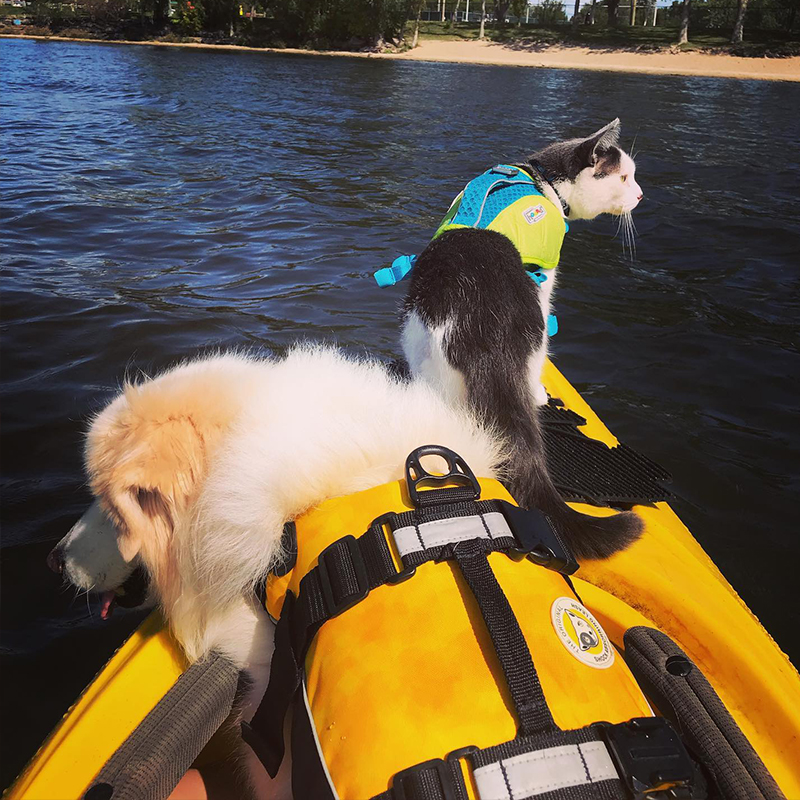 Munchkin and Cowboy on Kayak