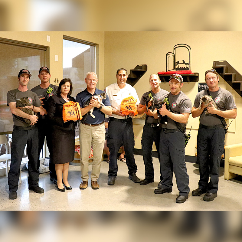 Orlando Cat Cafe donates oxygen masks to firefighters 2