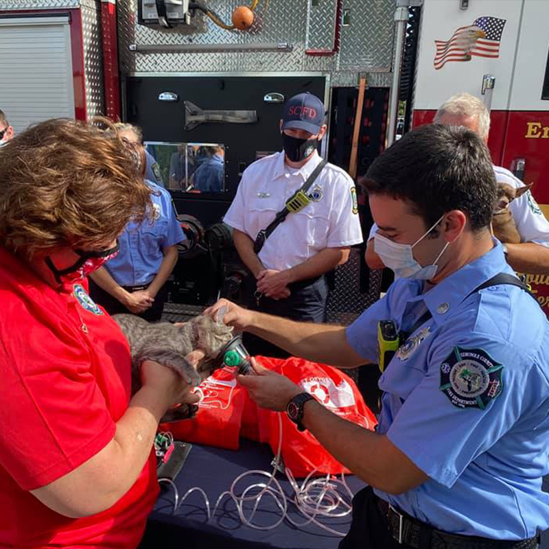 Orlando Cat Cafe donates oxygen masks for cats and other pets on National Fire Safety Day, Lake County Fire Rescue