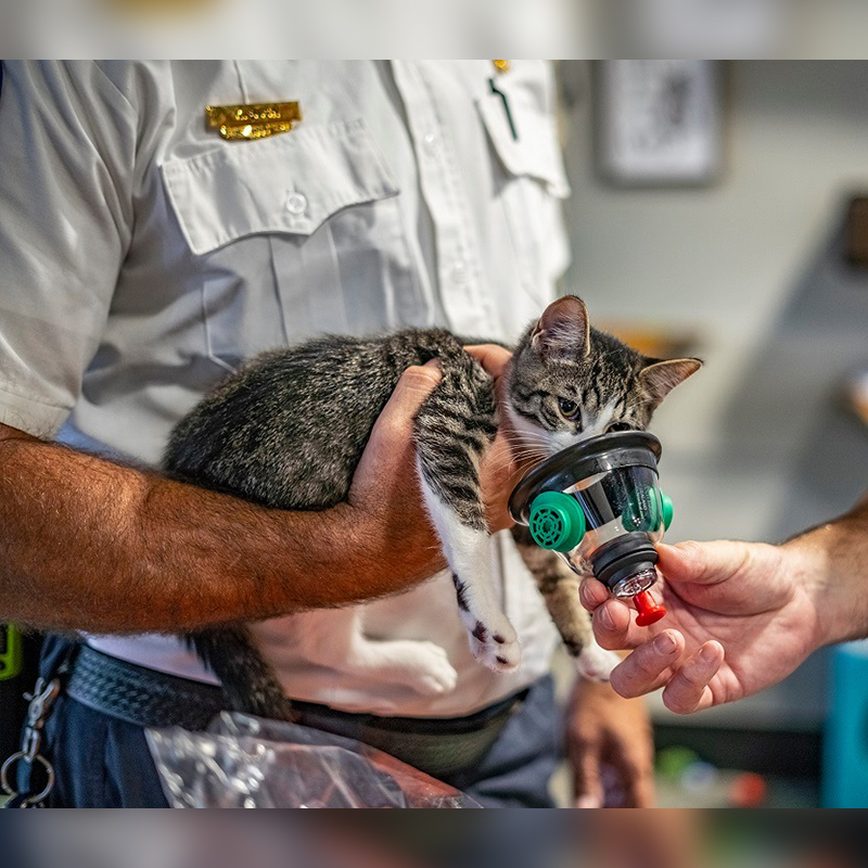 Firefighter holds a kitten demonstrating the oxygen mask