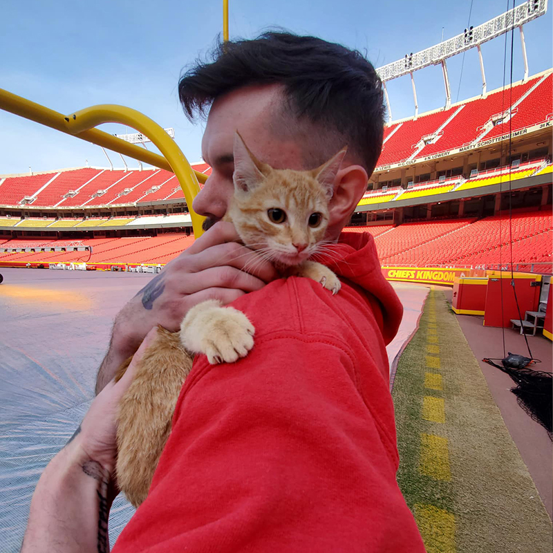 kitten rescued at Arrowhead Stadium