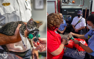 Orlando Cat Cafe donates oxygen masks for cats and other pets on National Fire Safety Day, Lake County Fire Rescue