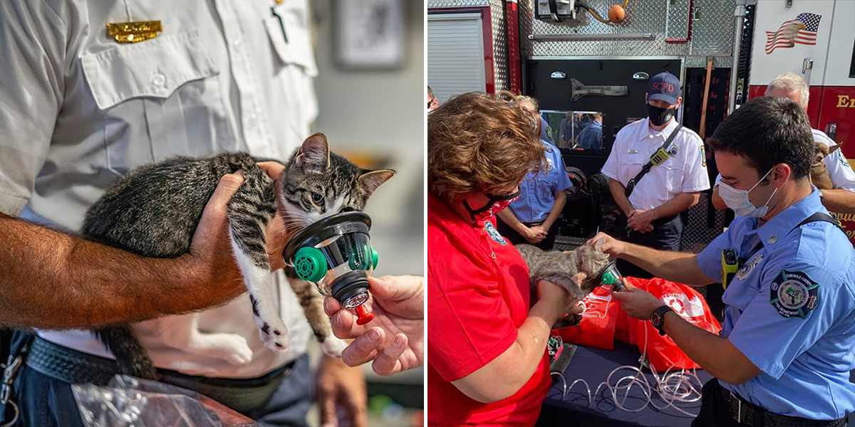 Orlando Cat Cafe donates oxygen masks for cats and other pets on National Fire Safety Day, Lake County Fire Rescue