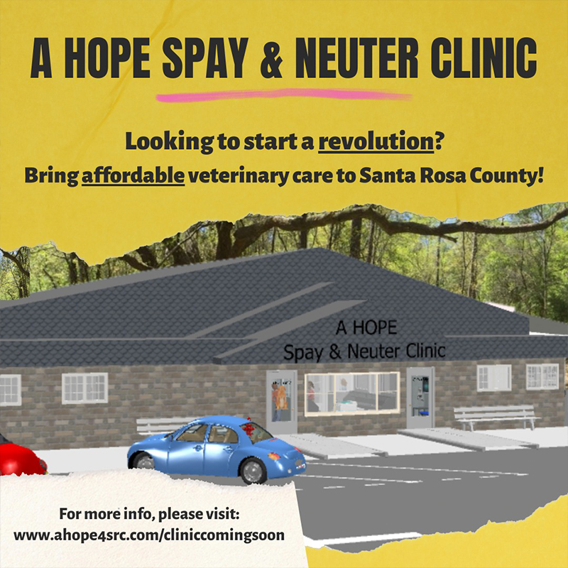 A HOPE spay and neuter clinic plans
