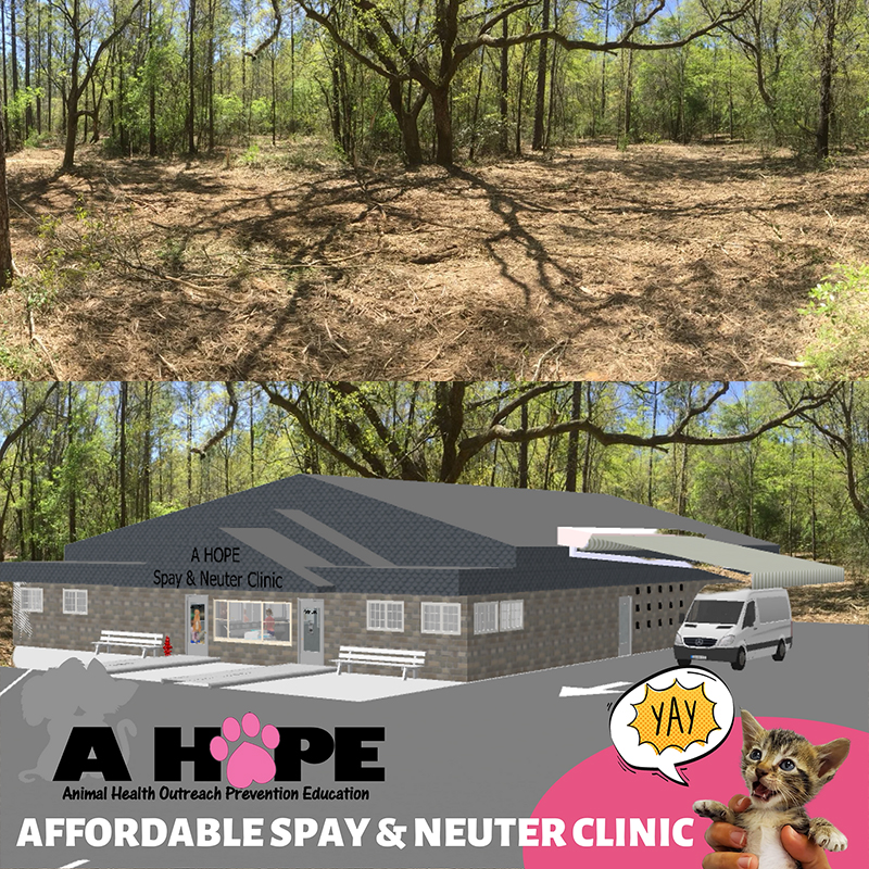 A HOPE new clinic plans