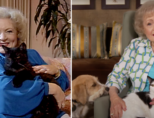 Betty White Challenge: Donate to Animal Shelters to Honor the Star’s Life
