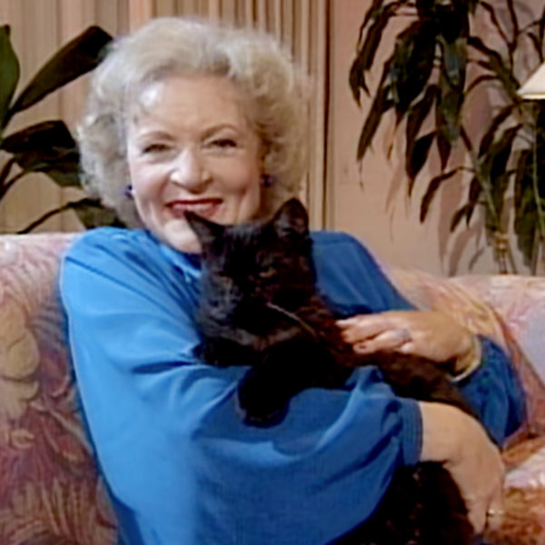 Betty White Challenge Donate to Animal Shelters to Honor the Star's Life