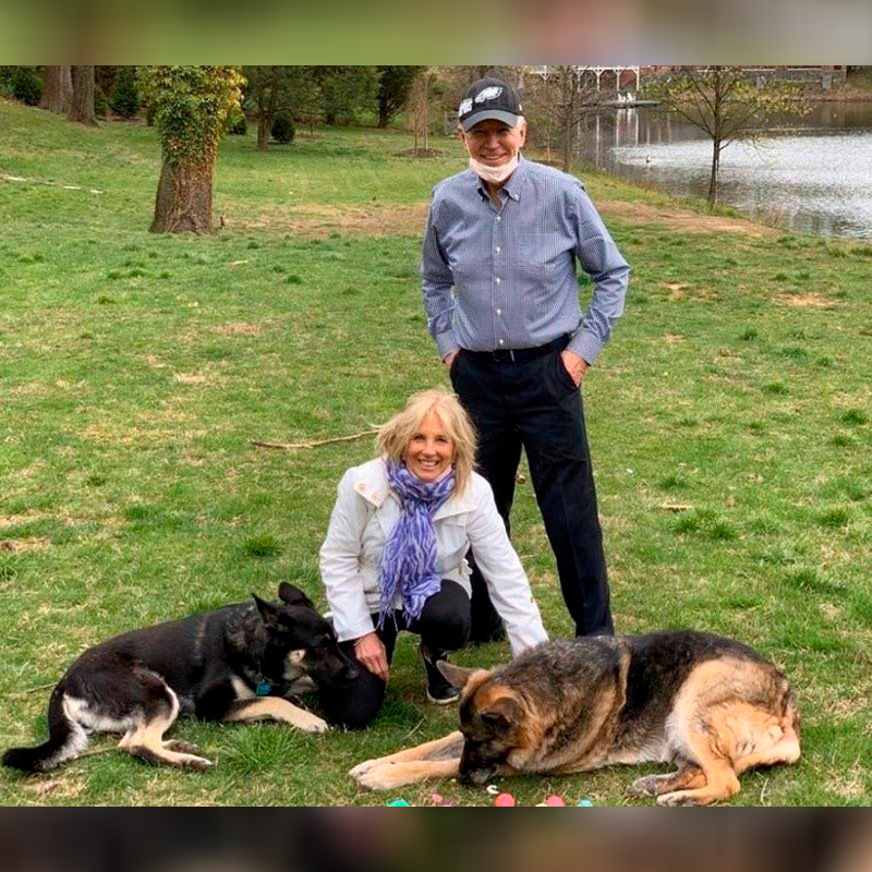 Bidens with dogs