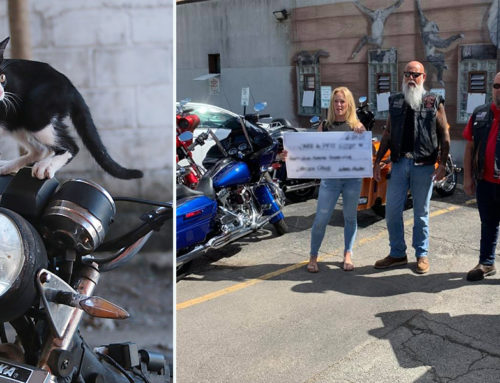 Bikers Raise Thousands to Help Grateful Animal Rescuers