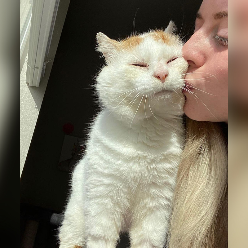 Gus the tomcat gets a kiss