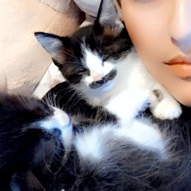 Natalie with kittens on her shoulder