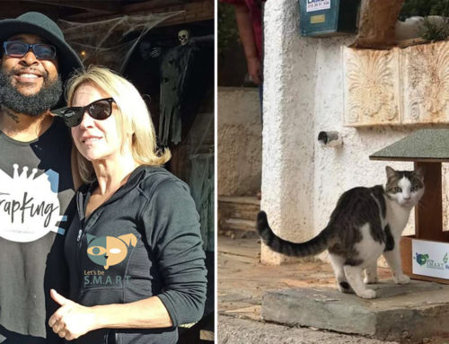 Sterling ‘Trap King’ Davis Joins Rescue Group to Save Feral Cats in Greece