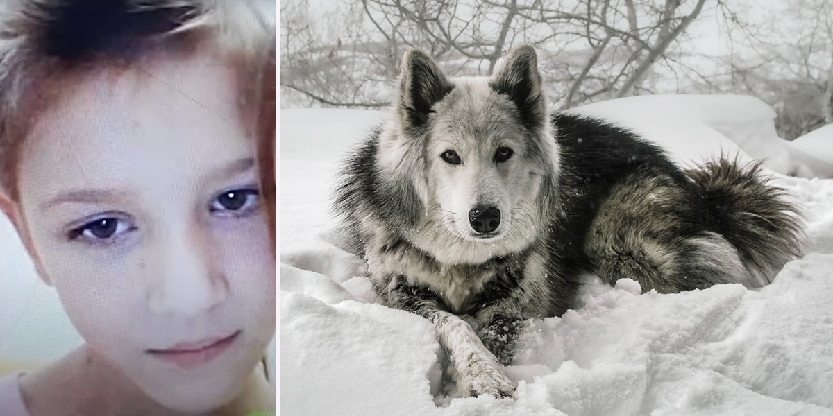 Viktoria Zarubina, Uglegorsk, Sakhalin, snowstorm, dog