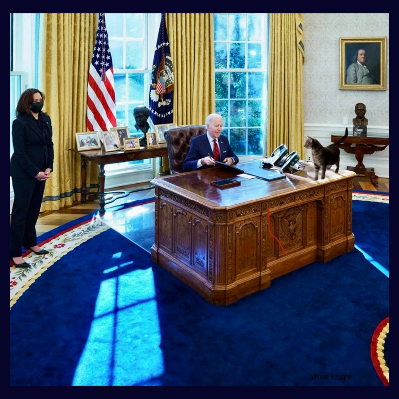 cat in then Oval Office