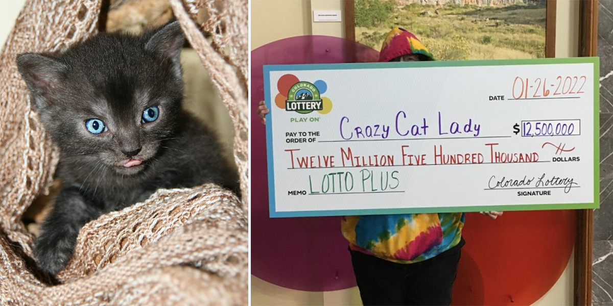 Jackpot, Lotto, Doreen M., self-described Crazy Cat Lady, Colorado