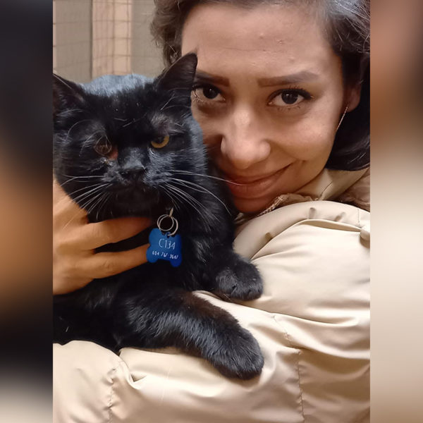 'Mission Possible' Saves Hundreds of Cats, Dogs Stranded in Afghanistan(01)