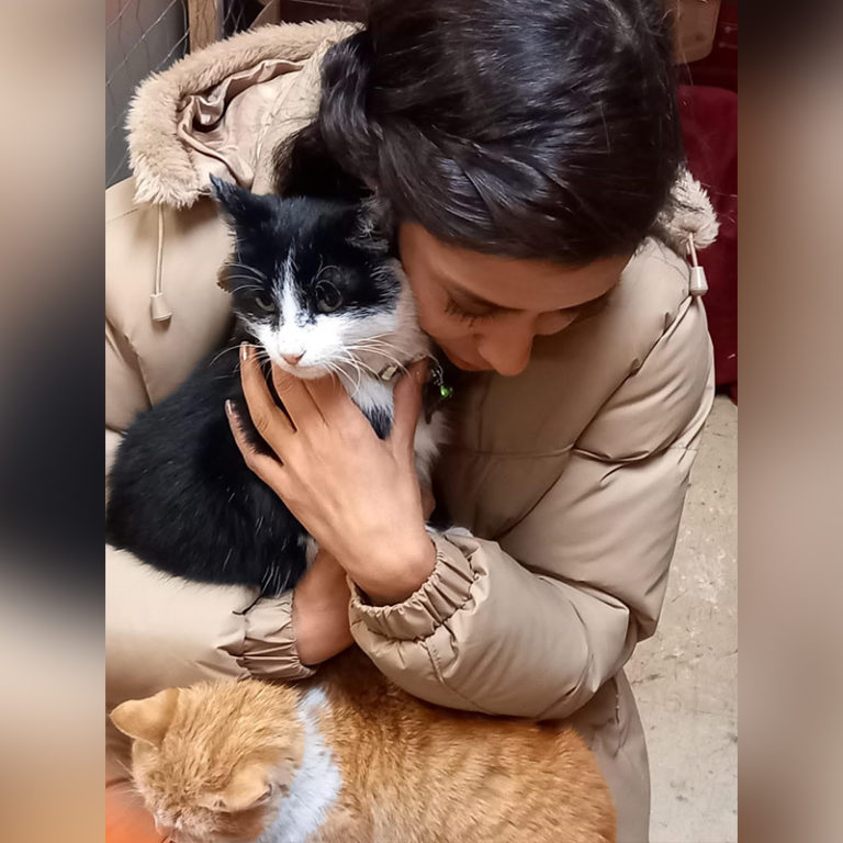 'Mission Possible' Saves Hundreds of Cats, Dogs Stranded in Afghanistan