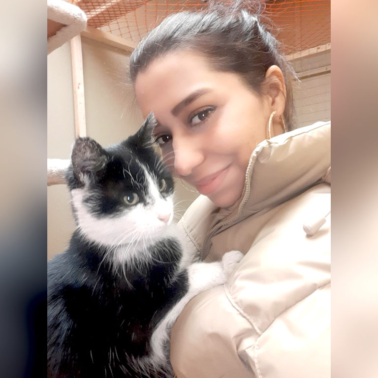 'Mission Possible' Saves Hundreds of Cats, Dogs Stranded in Afghanistan