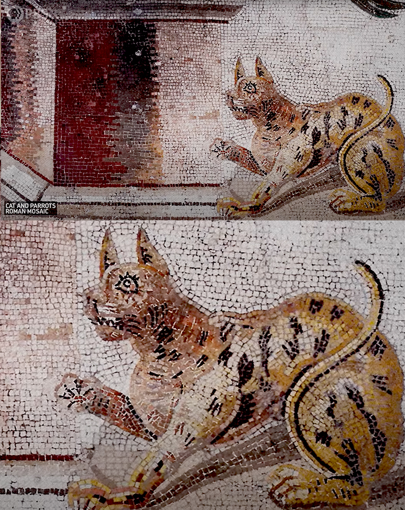 Ancient cats, Roman mosaic via PBS Eons