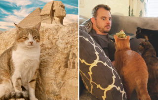 Ancient cats to today, pyramid, Sphinx, Cat Man Chris