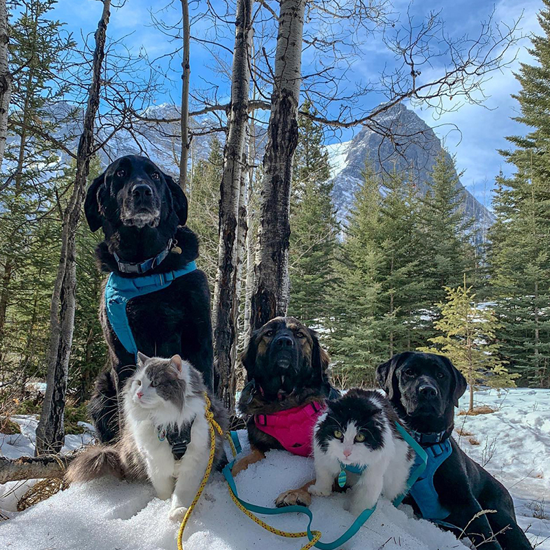 Gary and siblings in the Canadian Rockies